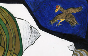Hawk Fight